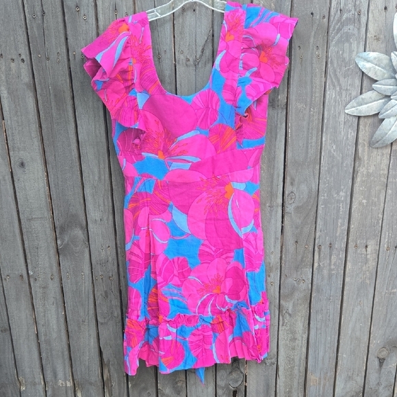 TUCKERNUCK X CAMERAN EUBANKS WIMBERLY Wild Azalea Edisto Dress - Picture 3 of 9